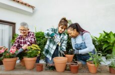 Three women having fun while potting plants together outside.